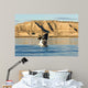 Southern Right Whale Calf Wall Decal Design 3