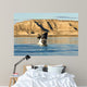 Southern Right Whale Calf Wall Decal Design 3