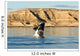 Southern Right Whale Calf Wall Decal Design 3