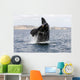 Southern Right Whale Calf Wall Decal Design 2