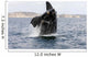 Southern Right Whale Calf Wall Decal Design 2