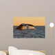 Adult Southern Right Whale Wall Decal Design 2