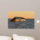 Adult Southern Right Whale Wall Decal Design 2
