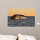 Adult Southern Right Whale Wall Decal Design 2