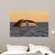 Adult Southern Right Whale Wall Decal Design 2