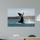 Southern Right Whale Slaps Wall Decal Design 3