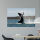 Southern Right Whale Slaps Wall Decal Design 3