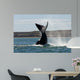Southern Right Whale Slaps Wall Decal Design 3