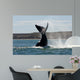 Southern Right Whale Slaps Wall Decal Design 3