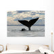 Southern Right Whale Slaps Wall Decal Design 2