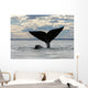 Southern Right Whale Slaps Wall Decal Design 2