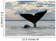 Southern Right Whale Slaps Wall Decal Design 2