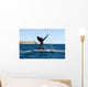 Southern Right Whale Slaps Wall Decal Design 1