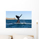 Southern Right Whale Slaps Wall Decal Design 1