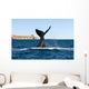 Southern Right Whale Slaps Wall Decal Design 1