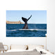 Southern Right Whale Slaps Wall Decal Design 1