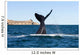 Southern Right Whale Slaps Wall Decal Design 1