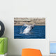 Southern Right Whale White Wall Decal Design 2