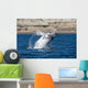 Southern Right Whale White Wall Decal Design 2