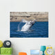 Southern Right Whale White Wall Decal Design 2