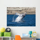 Southern Right Whale White Wall Decal Design 2