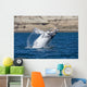 Southern Right Whale White Wall Decal Design 2