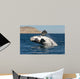 Southern Right Whale White Wall Decal Design 1