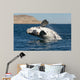 Southern Right Whale White Wall Decal Design 1