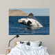 Southern Right Whale White Wall Decal Design 1