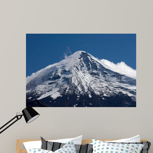 Lanin Volcano Lanin National Wall Decal