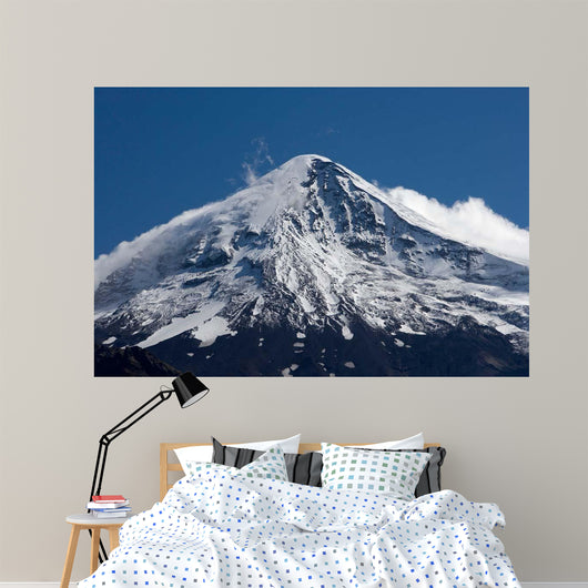 Lanin Volcano Lanin National Wall Decal