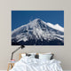 Lanin Volcano Lanin National Wall Decal