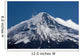 Lanin Volcano Lanin National Wall Decal