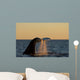 Adult Southern Right Whale Wall Decal Design 1