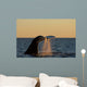 Adult Southern Right Whale Wall Decal Design 1