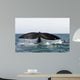 Tail Fluke Southern Right Wall Decal Design 4
