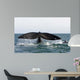 Tail Fluke Southern Right Wall Decal Design 4