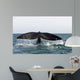 Tail Fluke Southern Right Wall Decal Design 4