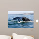 Tail Fluke Southern Right Wall Decal Design 3