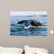 Tail Fluke Southern Right Wall Decal Design 3