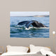 Tail Fluke Southern Right Wall Decal Design 3