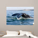 Tail Fluke Southern Right Wall Decal Design 3