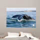 Tail Fluke Southern Right Wall Decal Design 3