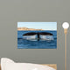Tail Fluke Southern Right Wall Decal Design 2