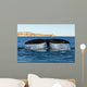 Tail Fluke Southern Right Wall Decal Design 2