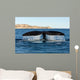 Tail Fluke Southern Right Wall Decal Design 2