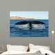 Tail Fluke Southern Right Wall Decal Design 2