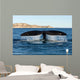 Tail Fluke Southern Right Wall Decal Design 2