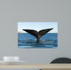 Tail Fluke Southern Right Wall Decal Design 1