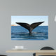 Tail Fluke Southern Right Wall Decal Design 1